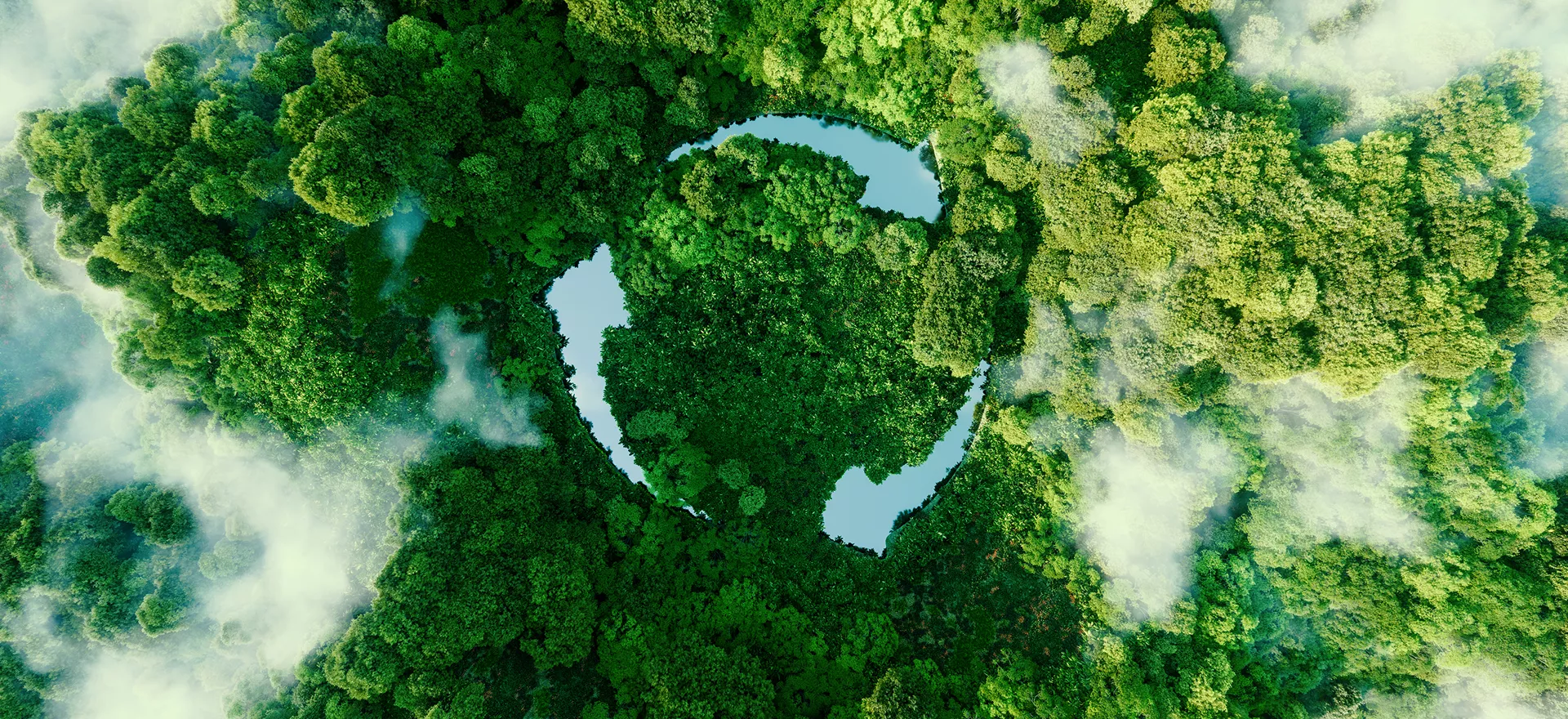 Contribution Towards Planet & Society